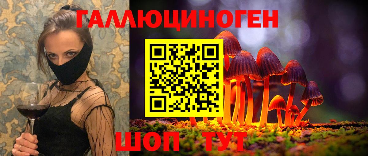 Псилоцибиновые грибы GOLDEN TEACHER  Галлюциногенные грибы MAGIC MUSHROOMS  наркота  Вход с VPN  Клин 